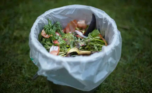 北京：餐饮企业垃圾桶内可套袋收集厨余垃圾
